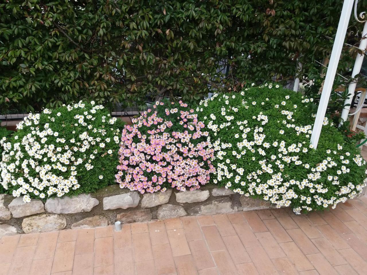 Garden On The Sea Bed and Breakfast Vico Equense Eksteriør billede